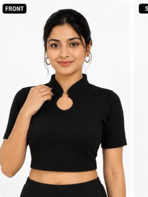 WhatsApp Image 2026-08-04 at 12.53.54 AM (2) High Neck Crop Top Blouse for Sarees