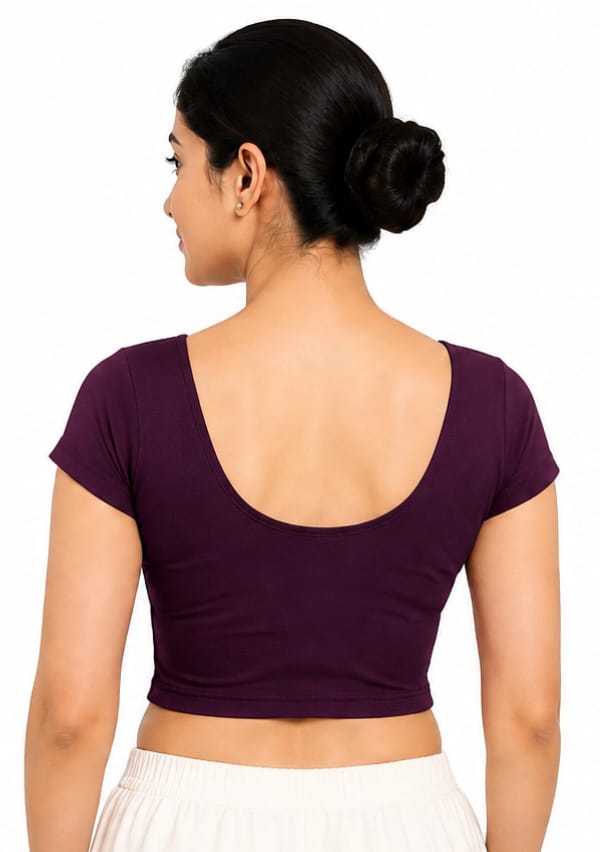 WhatsApp Image 2026-08-04 at 12.57.45 AM (2) Daily Wear Round Neck Stretchable Blouse